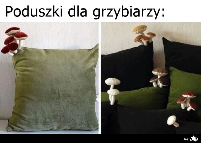 
    Poduszki dla grzybiarzy 