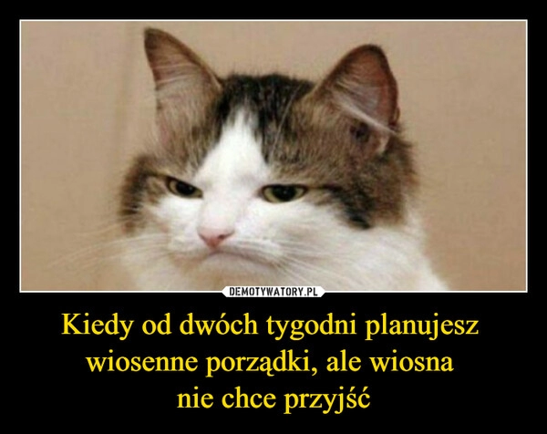 
    Kiedy od dwóch tygodni planujesz 
wiosenne porządki, ale wiosna 
nie chce przyjść