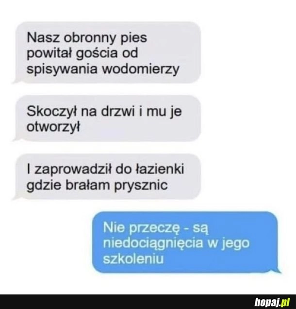 
    Piesek