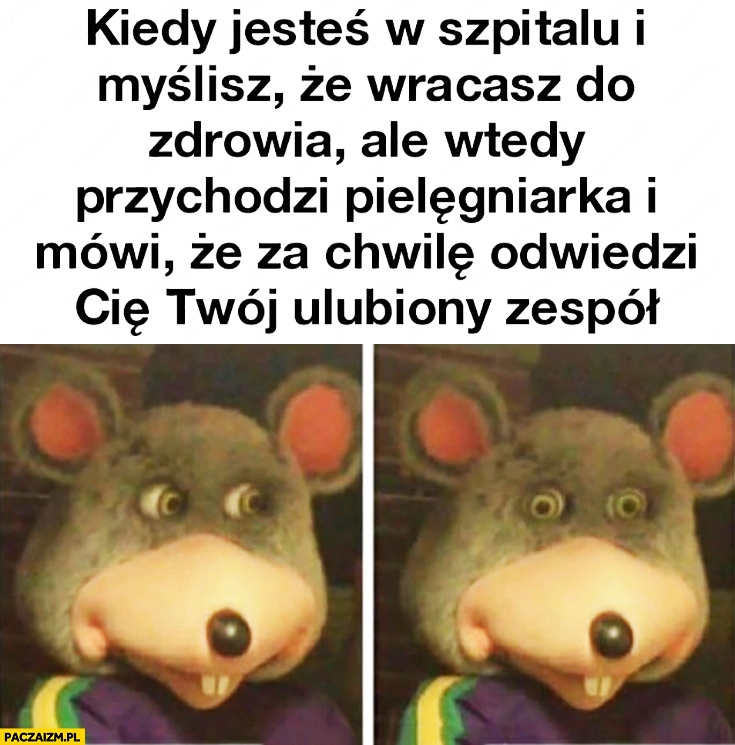 
    Kiedy jesteś w szpitalu i myślisz, że wracasz do zdrowia ale wtedy przychodzi pielęgniarka i mówi, że za chwilę odwiedzi Cię Twój ulubiony zespół