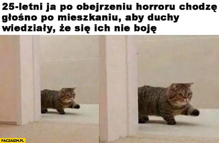 
    Kot 25-letni ja po obejrzeniu horroru chodzę głośno po mieszkaniu żeby duchy wiedziały, że się ich nie boję