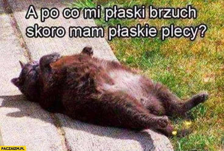 
    Po co mi płaski brzuch skoro mam płaskie plecy kot