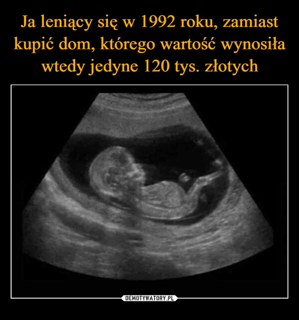 
    Ja leniący się w 1992 roku, zamiast kupić dom, którego wartość wynosiła wtedy jedyne 120 tys. złotych