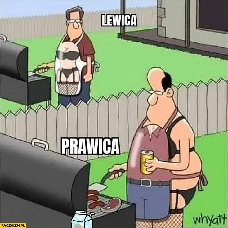 
    Prawica vs lewica jak się kreuje vs jak jest naprawdę rysunek