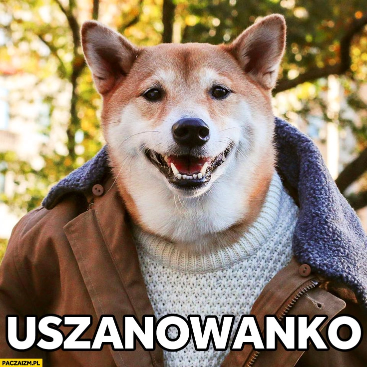 
    Pieseł w kurtce uszanowanko