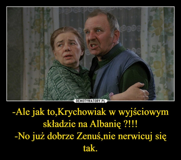 
    -Ale jak to,Krychowiak w wyjściowym składzie na Albanię ?!!!
-No już dobrze Zenuś,nie nerwicuj się tak.