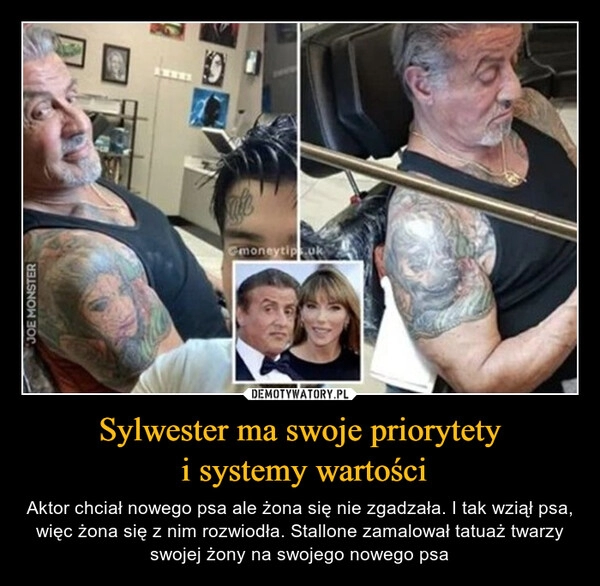 
    
Sylwester ma swoje priorytety
i systemy wartości 