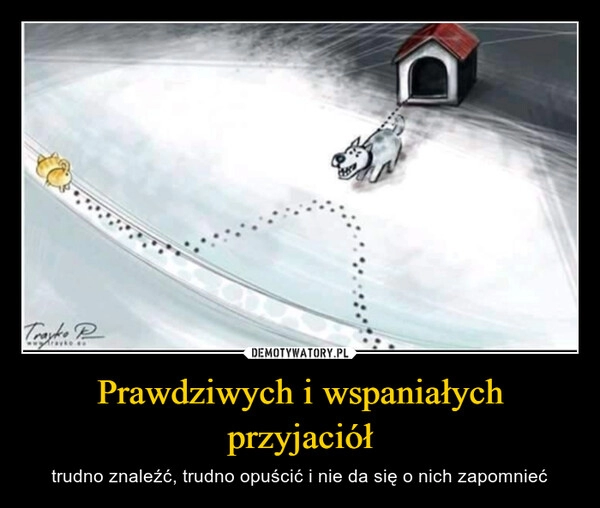 
    Prawdziwych i wspaniałych przyjaciół