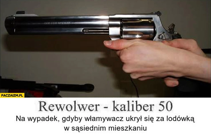 
    Rewolwer kaliber 50 na wypadek gdyby włamywacz ukrył się za lodówką w sąsiednim mieszkaniu