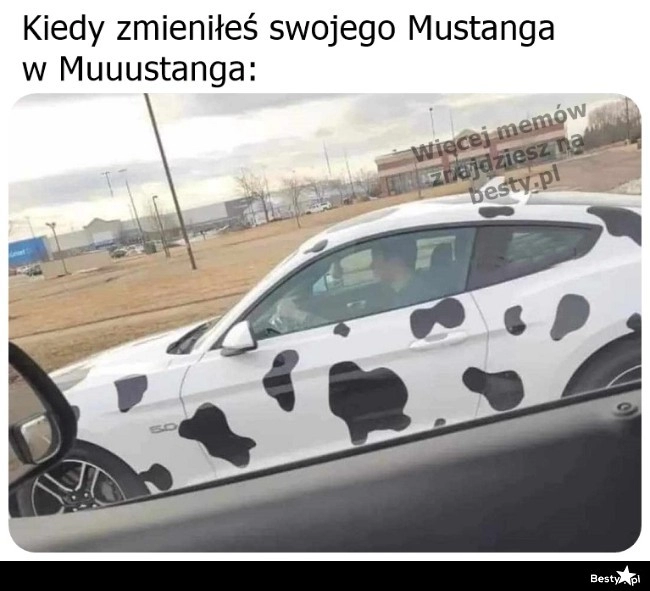 
    Muuustang 