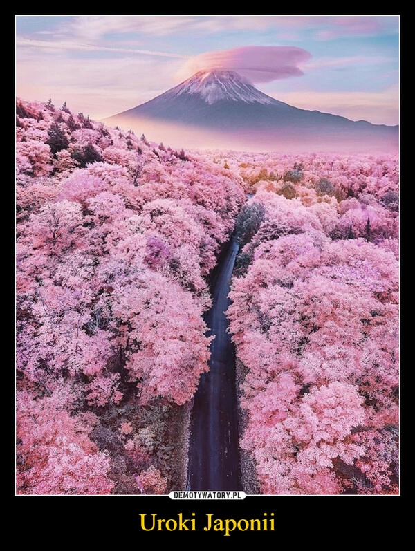 
    Uroki Japonii