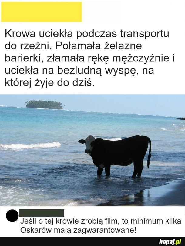 
    Posypałyby się oscary
