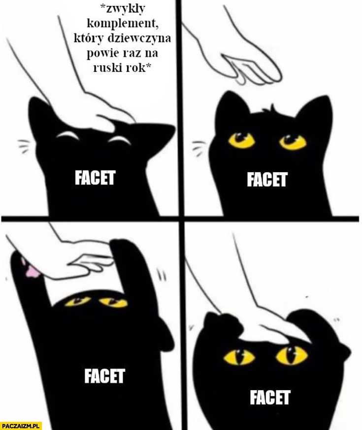 
    Kot facet zwykły komplement który dziewczyna powie raz na rok chce więcej