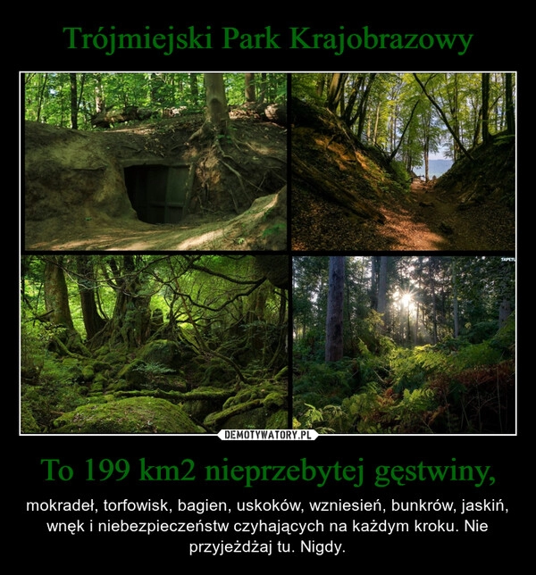 
    Trójmiejski Park Krajobrazowy To 199 km2 nieprzebytej gęstwiny,