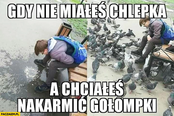 
    Gdy nie miałeś chlebka a chciałeś nakarmić gołąbki chłopak zwymiotował zrzygał się