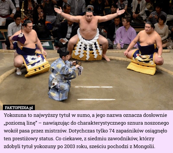 
    Yokozuna to najwyższy tytuł w sumo, a jego nazwa oznacza dosłownie „poziomą...