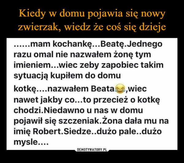 
    Kiedy w domu pojawia się nowy zwierzak, wiedz że coś się dzieje