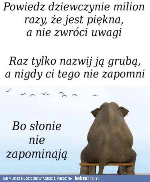 
    Zawsze pamiętają
