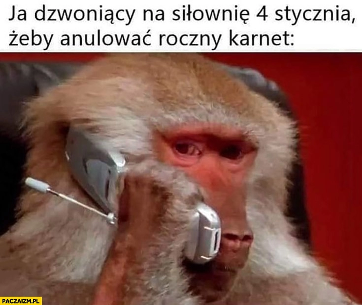 
    Ja dzwoniący na siłownię 4 stycznia żeby anulować roczny karnet małpa dzwoni