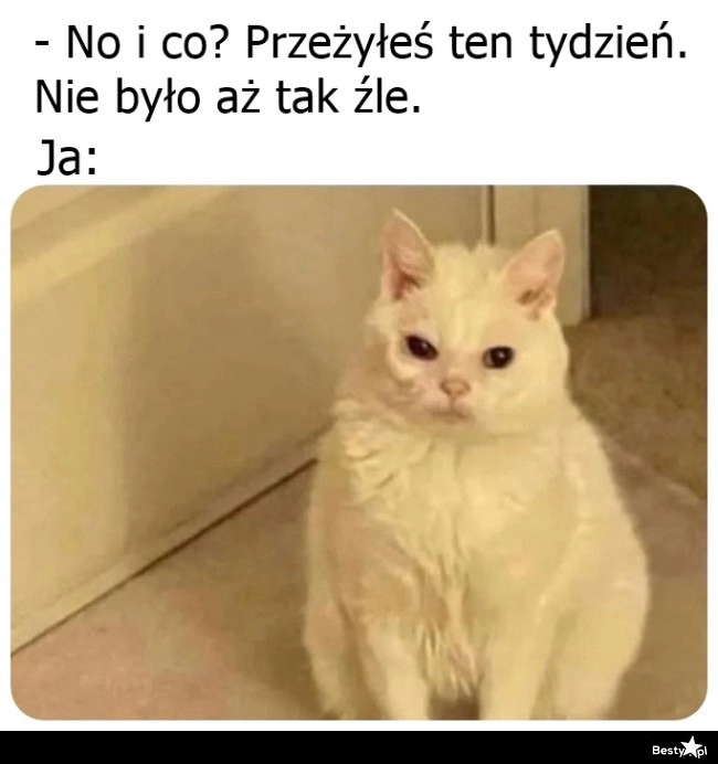 
    Mam inne zdanie na ten temat 