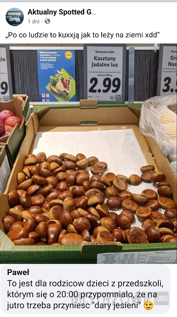
    Kasztany