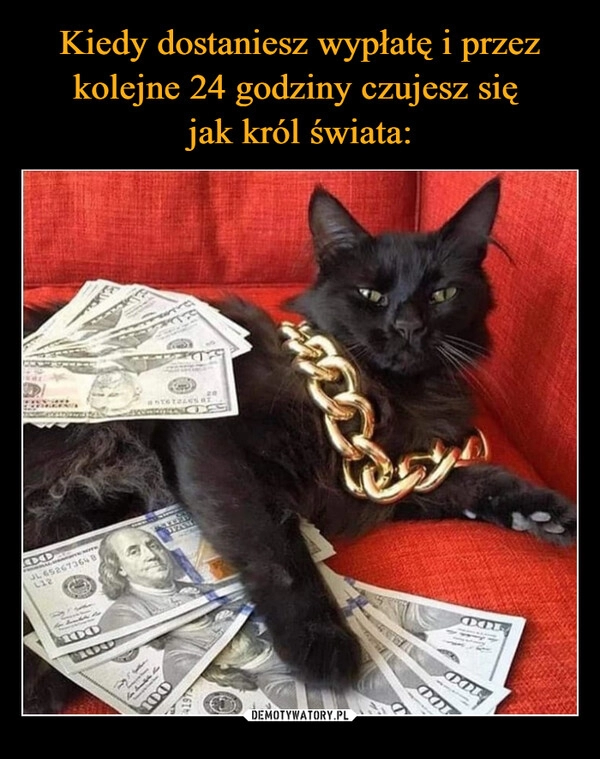 
    Kiedy dostaniesz wypłatę i przez kolejne 24 godziny czujesz się 
jak król świata: