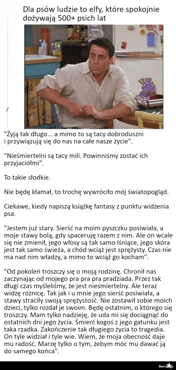 
    Z psiej perspektywy 