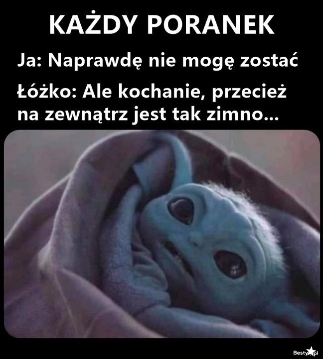 
    Szczególnie teraz 