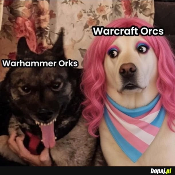 
    Orkowie