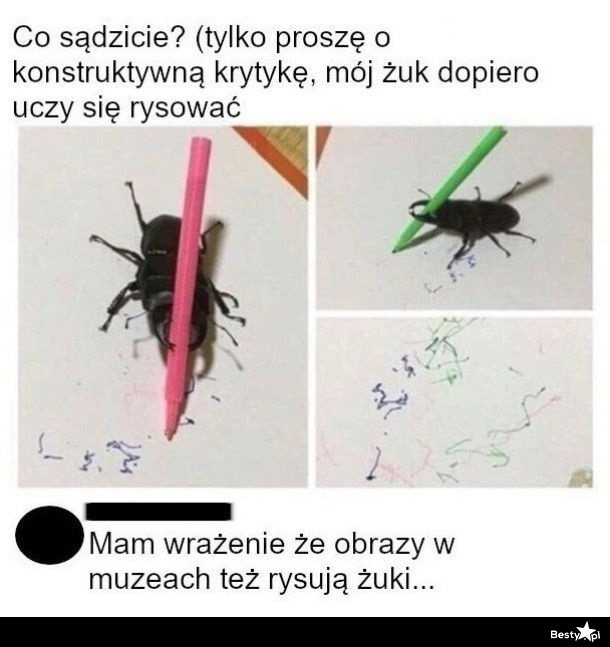 
    Rysujący żuk 