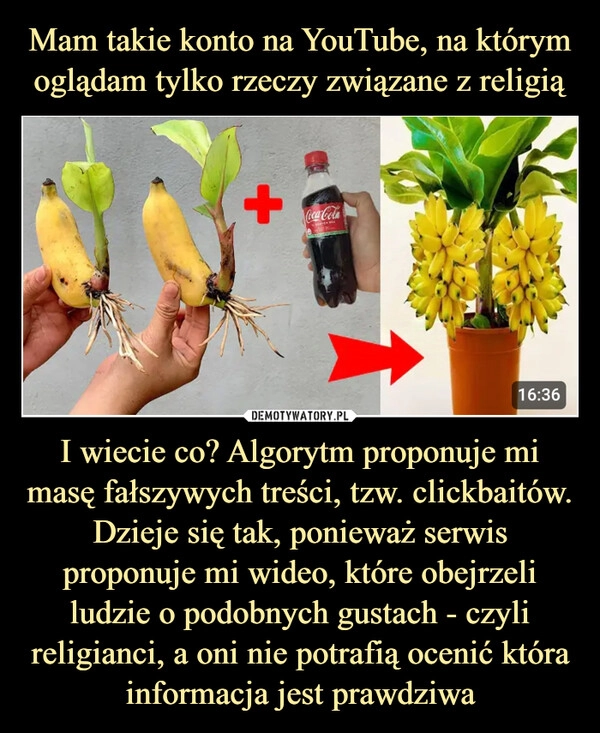 
    Mam takie konto na YouTube, na którym oglądam tylko rzeczy związane z religią I wiecie co? Algorytm proponuje mi masę fałszywych treści, tzw. clickbaitów. Dzieje się tak, ponieważ serwis proponuje mi wideo, które obejrzeli ludzie o podobnych gustach - czyli religianci, a oni nie potrafią ocenić która informacja jest prawdziwa