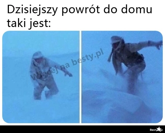 
    Dzisiejszy powrót 