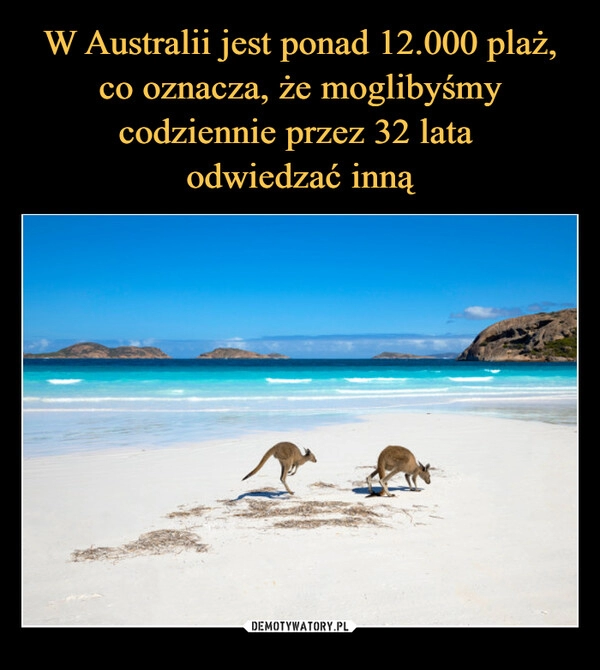 
    W Australii jest ponad 12.000 plaż, co oznacza, że moglibyśmy codziennie przez 32 lata 
odwiedzać inną