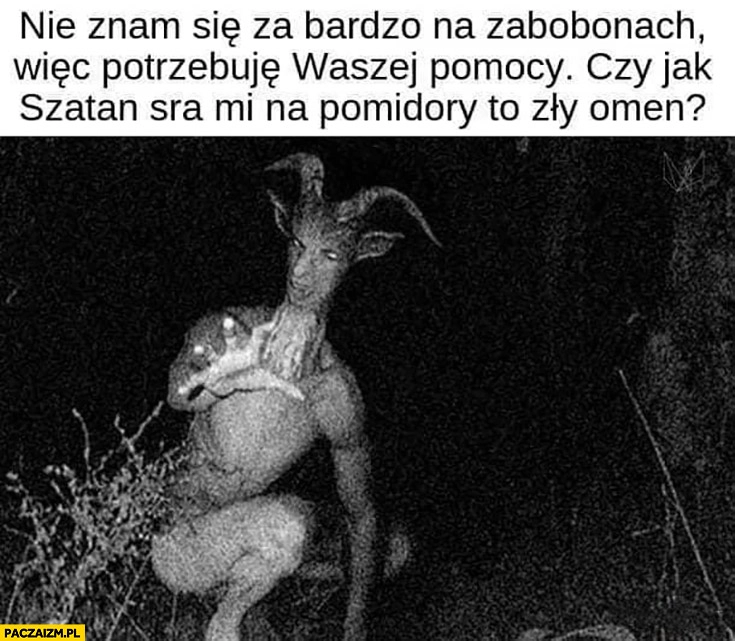 
    Nie znam się za bardzo na zabobonach więc potrzebuję waszej pomocy: czy jak szatan sra mi na pomidory to zły omen?