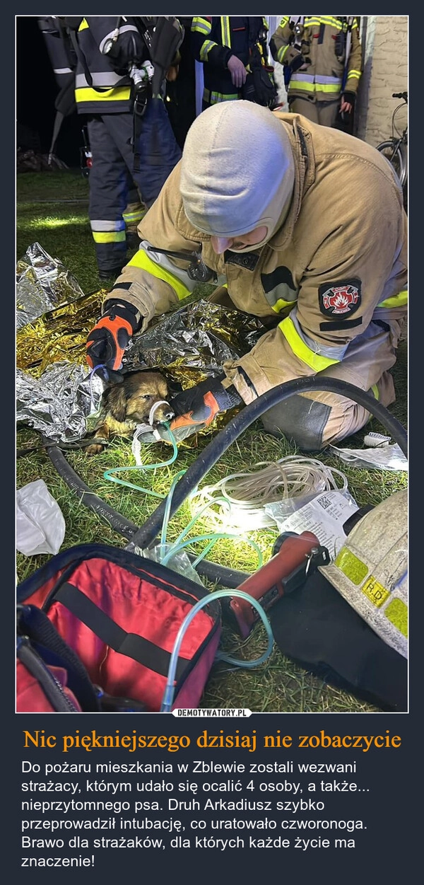 
    Nic piękniejszego dzisiaj nie zobaczycie