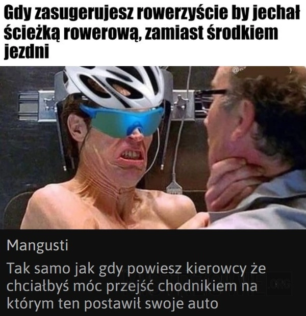 
    Rowerzysta