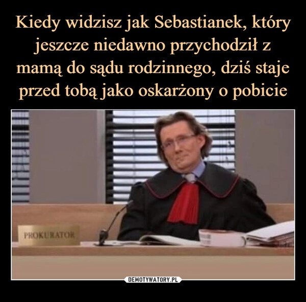 
    
Kiedy widzisz jak Sebastianek, który jeszcze niedawno przychodził z mamą do sądu rodzinnego, dziś staje przed tobą jako oskarżony o pobicie 