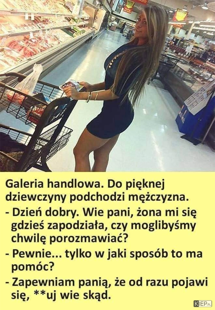 
    W poszukiwaniu żony