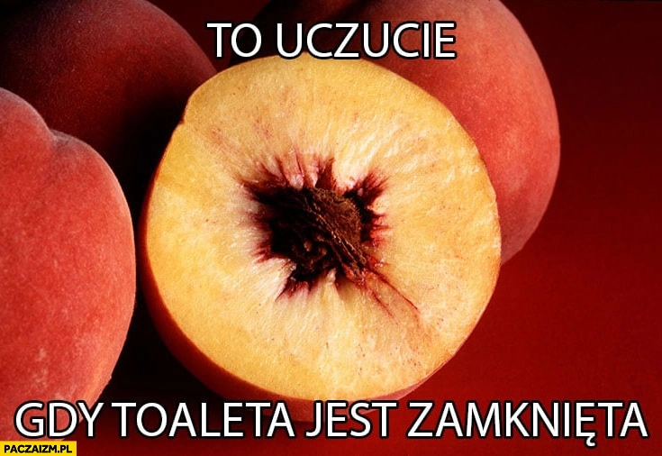 
    To uczucie gdy toaleta jest zamknięta brzoskwinia pestka