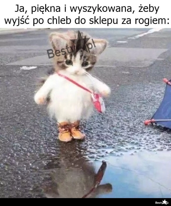 
    Trzeba jakoś wyglądać 