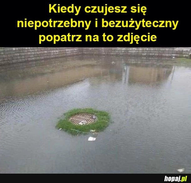 
    Pocieszające