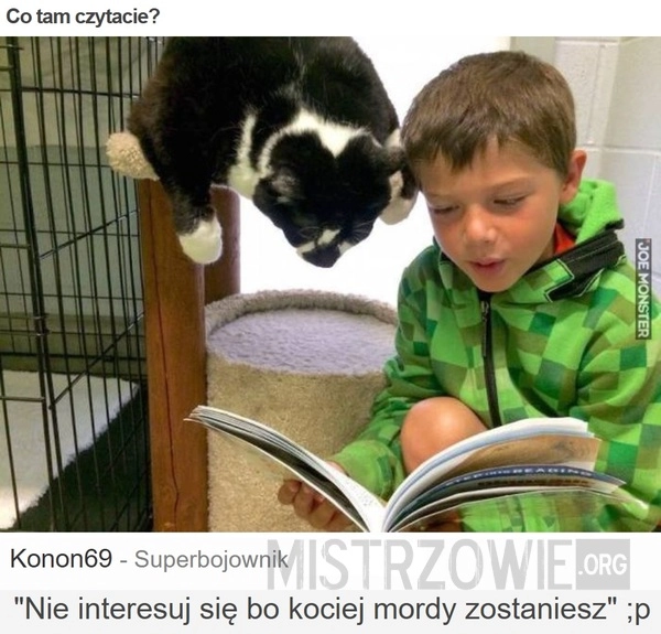 
    Co tam czytacie?