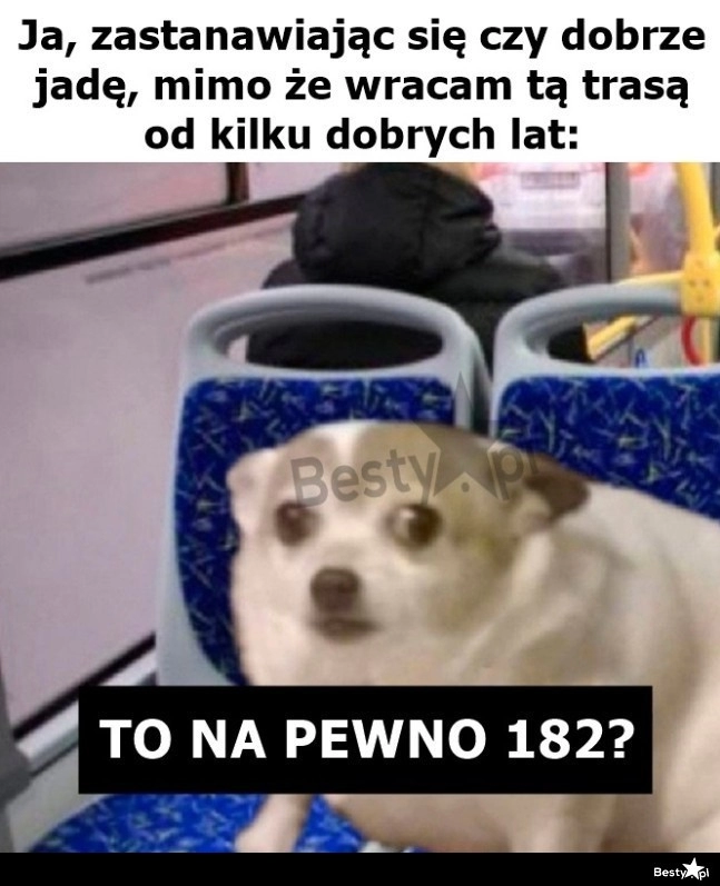 
    Chwila niepewności 