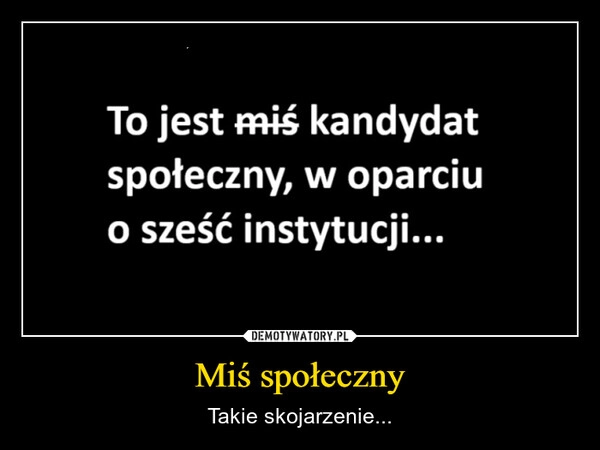 
    Miś społeczny