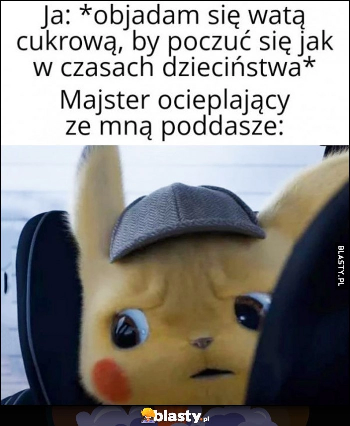 
    Ja: objadam się watą cukrową, by poczuć się jak w czasach dzieciństwa vs majster ocieplający ze mną poddasze zdziwiony Pikachu