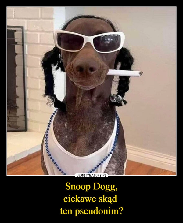 
    Snoop Dogg,
ciekawe skąd 
ten pseudonim?