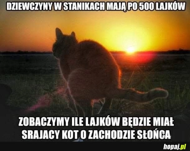 
    Trochę jak Janek o poranku