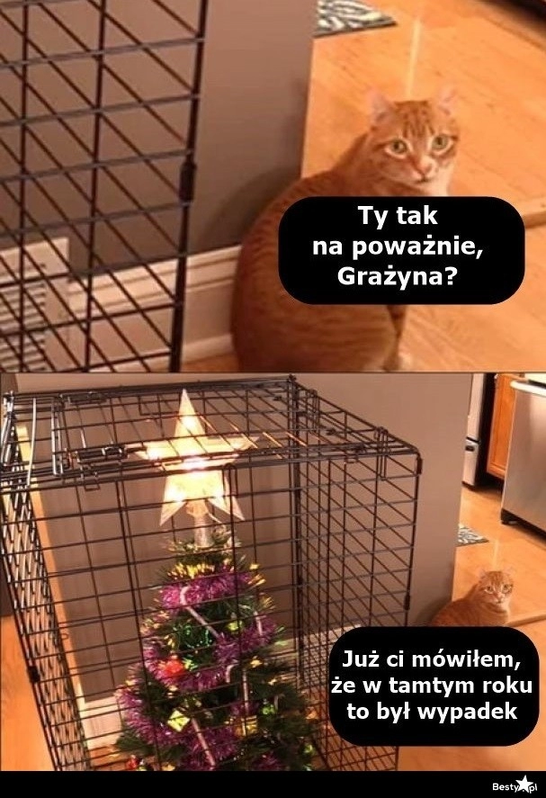 
    I tak ją dorwę 