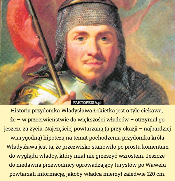 
    Historia przydomka Władysława Łokietka jest o tyle ciekawa, że – w przeciwieństwie...