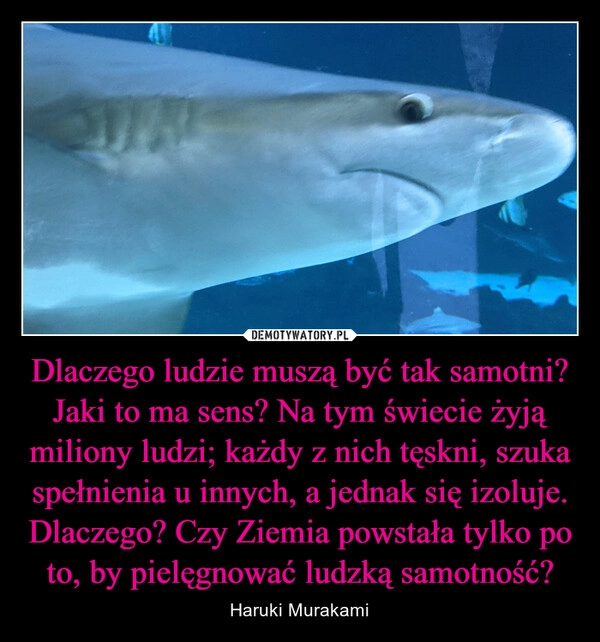 
    Dlaczego ludzie muszą być tak samotni? Jaki to ma sens? Na tym świecie żyją miliony ludzi; każdy z nich tęskni, szuka spełnienia u innych, a jednak się izoluje. Dlaczego? Czy Ziemia powstała tylko po to, by pielęgnować ludzką samotność?